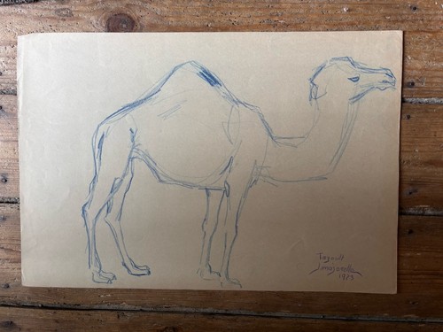 Majorelle dessin dromadaire - majorelle,
