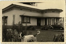 PHOTO ANCIENNE - VINTAGE SNAPSHOT - ANIMAL CHIEN MAISON ART DÉCO VOITURE - DOG 