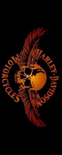 Tapis moto harley davidson - moto,