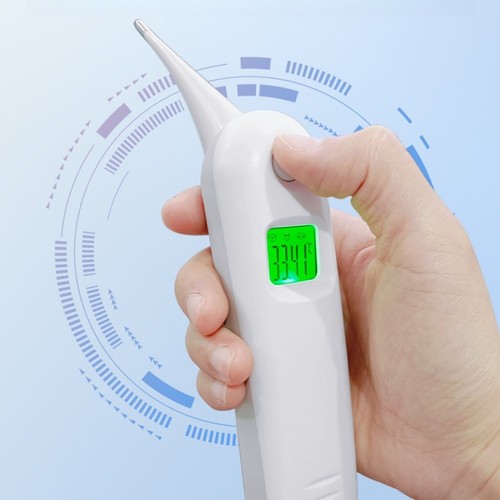 Thermomètre vétérinaire - thermomètre,