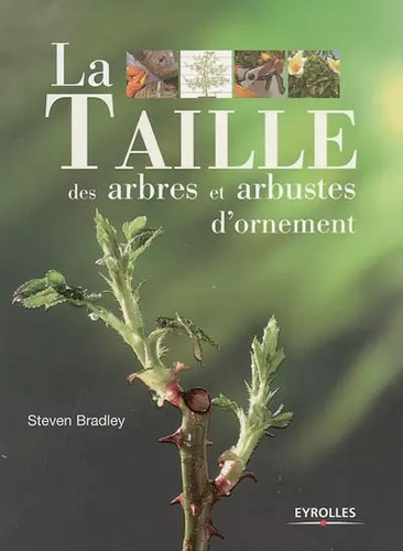 Taille des arbres - taille,