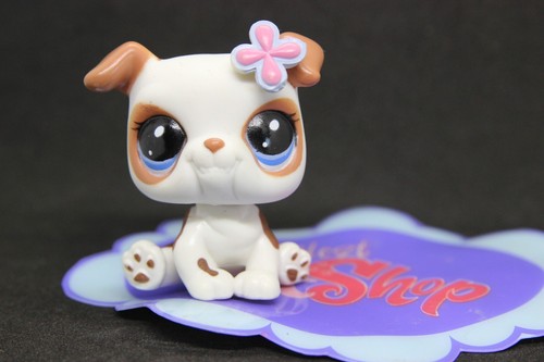 Little petshop lps - lps, ☆