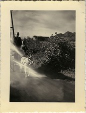 PHOTO ANCIENNE - VINTAGE