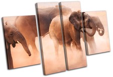 Baby Elephant Animals MULTI
