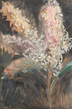 Tableau Hortensia paniculé