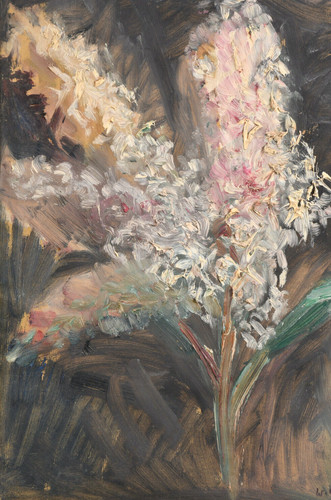 Tableau hortensia paniculé - hortensia,