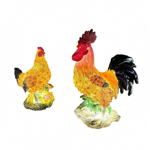 Coq solaire texture - solaire,