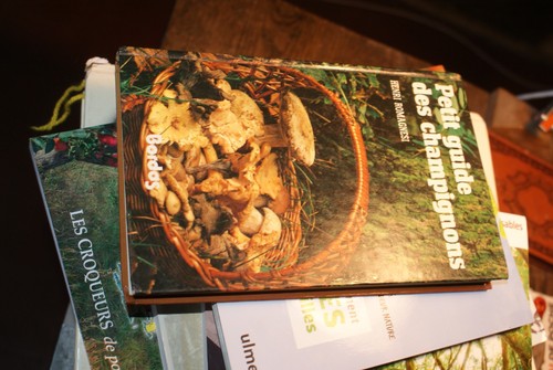 Petit guide des champignons - , /