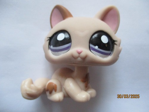 Petshop chat sphynx 1444 - petshop, n°1444