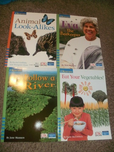 Teacher big book pearson - 4,