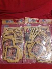Lot 2 Packs Album Panini