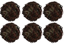 Grand petit animal lapin Guinée comestible rongeur boule brise-ennui boule