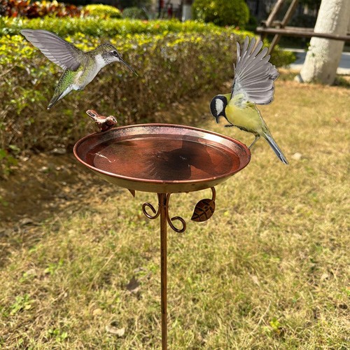 Bain oiseaux extérieur en - d'oiseaux,