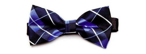Noeud papillon bleu - noeud,