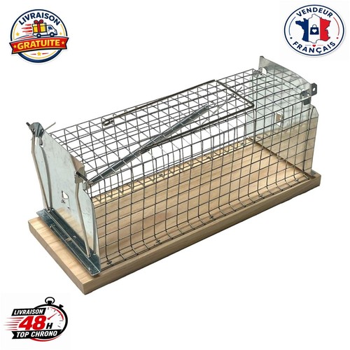 Caussade nasse rats vivants - rats,