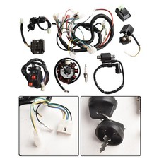 Faisceau de câblage complet