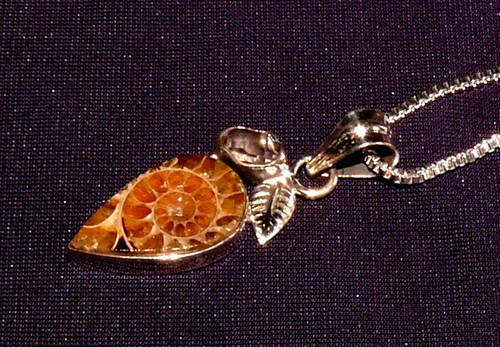 Pendentif ammonite fossile - pendentif, ammonite,