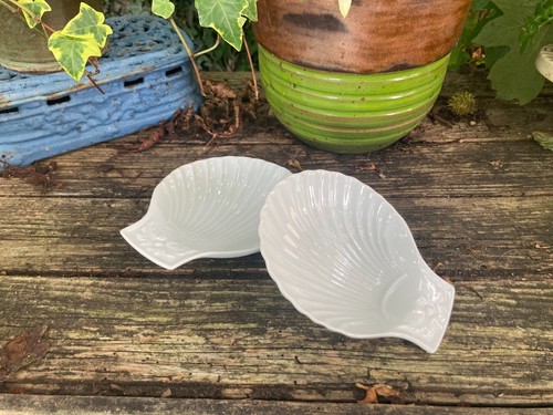 Deux raviers coquille - raviers, st