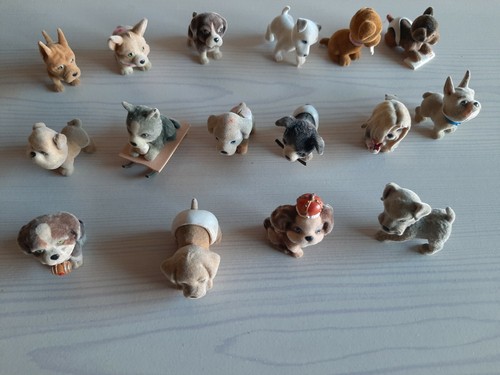 Lot puppy my - de, 16