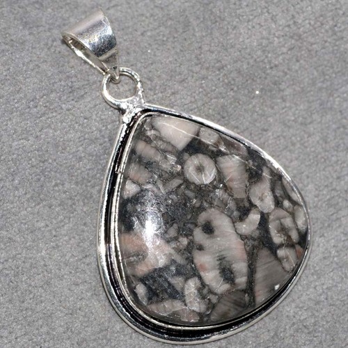 Pendentif fossile crinoïde - fossile, de