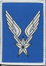 INSIGNE TISSU, PATCH MILITAIRE
