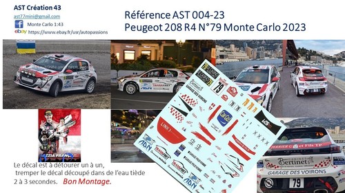 New decal peugeot - 1, 208