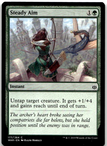 Steady aim 177 common war - steady, of