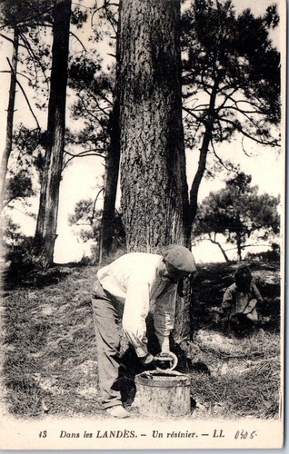 Dans les landes un - 40,