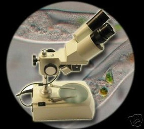 Microscope binoculaire - microscope,