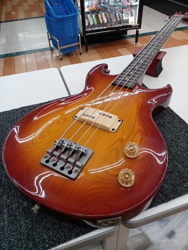 Basse électrique aria - électrique, pro