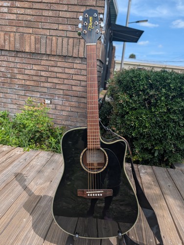 Takamine series eg531ssc - series,