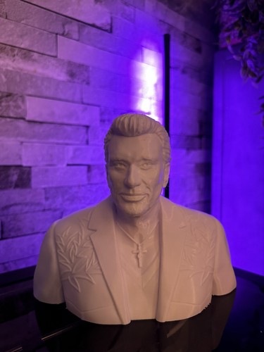Buste johnny hallyday blanc - hallyday,