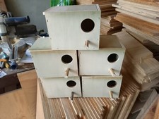 5 Nid Perruches Ondulee 