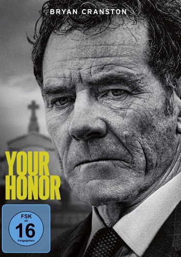 Your honor dvd - your, (miniserie)/4