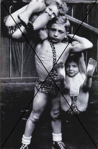 Curiosité oddities photo - ,