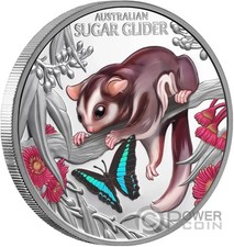 BABY SUGAR GLIDER Cute and Cuddly 1 Oz Monnaie Argent 1$ Niue 2026