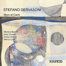 Stefano Gervasoni Stefano