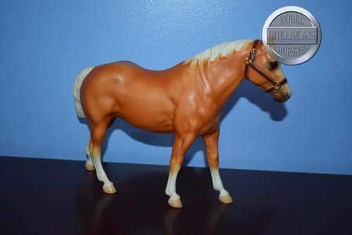 Palomino from jcp - palomino,