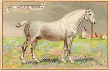 CHROMO CHEVAL RACE PERCHERON