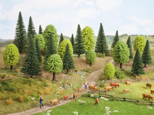 Noch assortiment arbres - assortiment, de