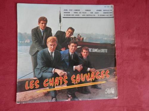 Les chats sauvages 25cm - sauvages, n°3