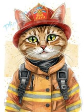 Photo A4 Chat pompier casque