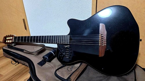 Guitare acoustique godin - guitare,