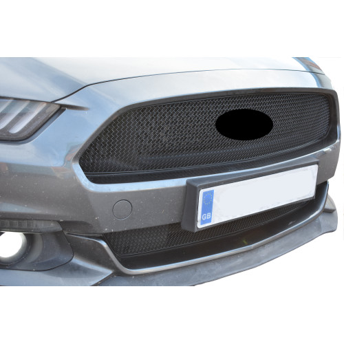 Ford mustang ensemble - mustang,