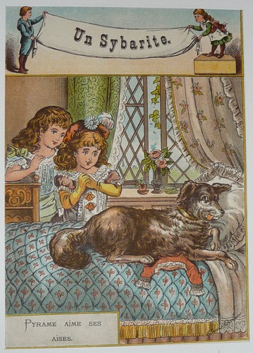 Illustration tirée la - tirée, de