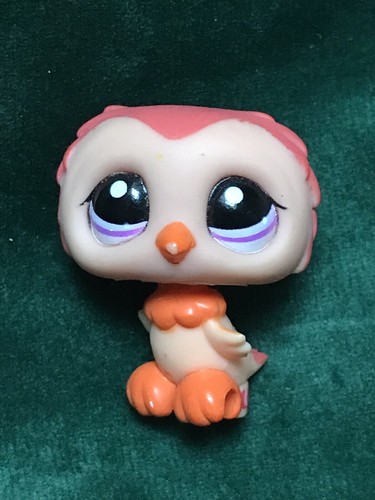 Petshop hibou 1147 - 🌺petshop,