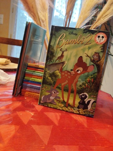 Lot livres disney club - 23,