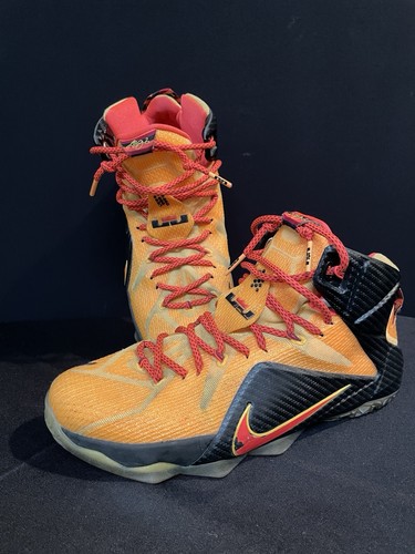 Nike lebron cle us - lebron, 12