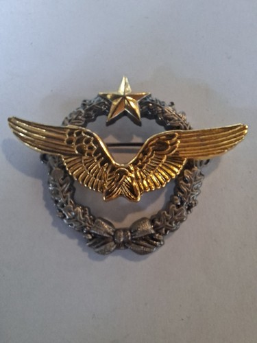 Insigne brevet pilote - insigne,