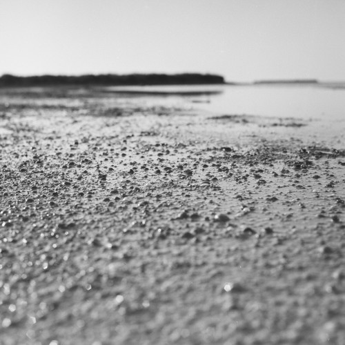 Tirage photo sur papier